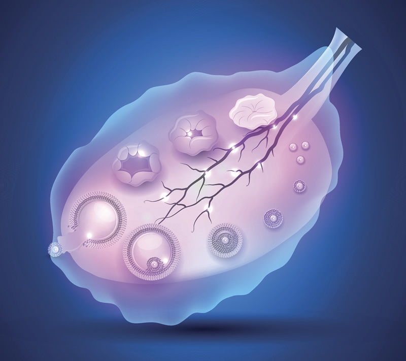 第三代试管成本多少附三代试管费用一览表